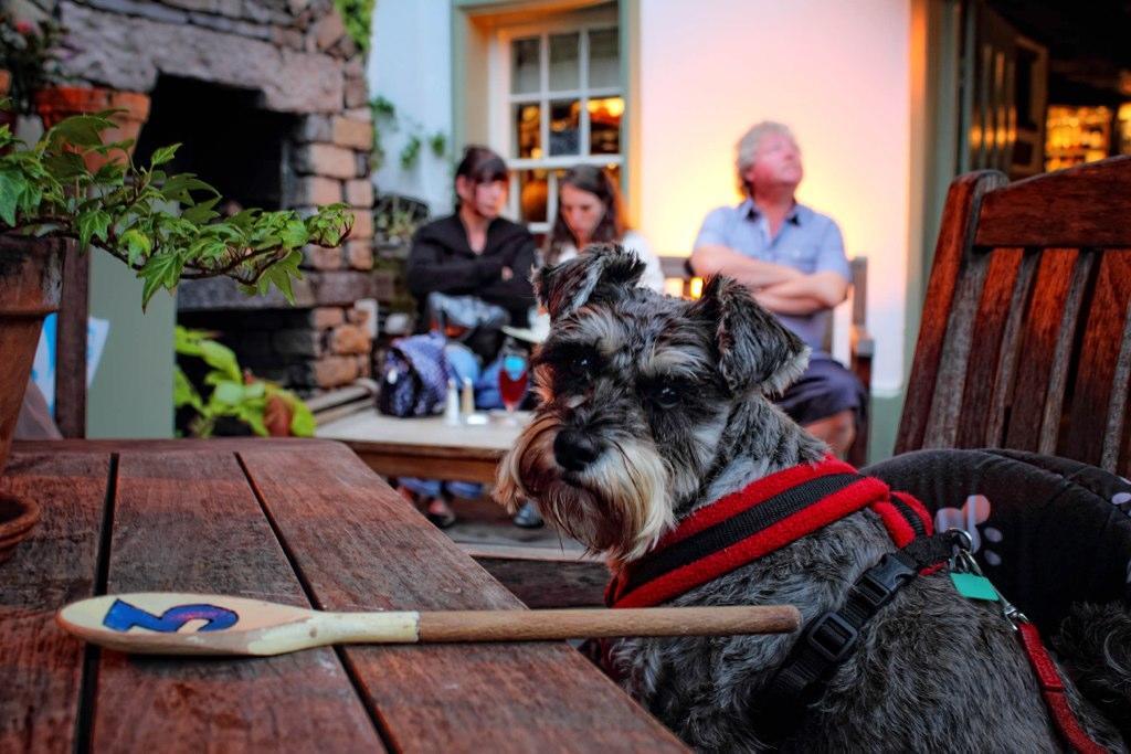 Mason'S Arms Hotel Bowland Bridge Bagian luar foto